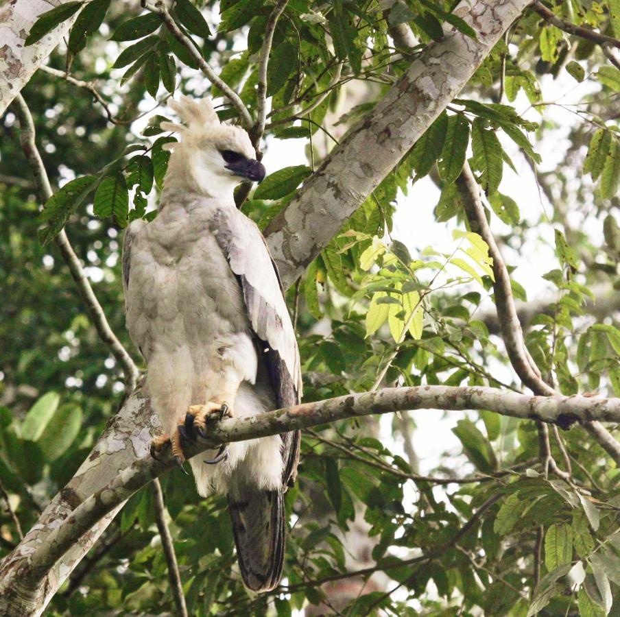 Wasai Tambopata Lodge Luaran gambar
