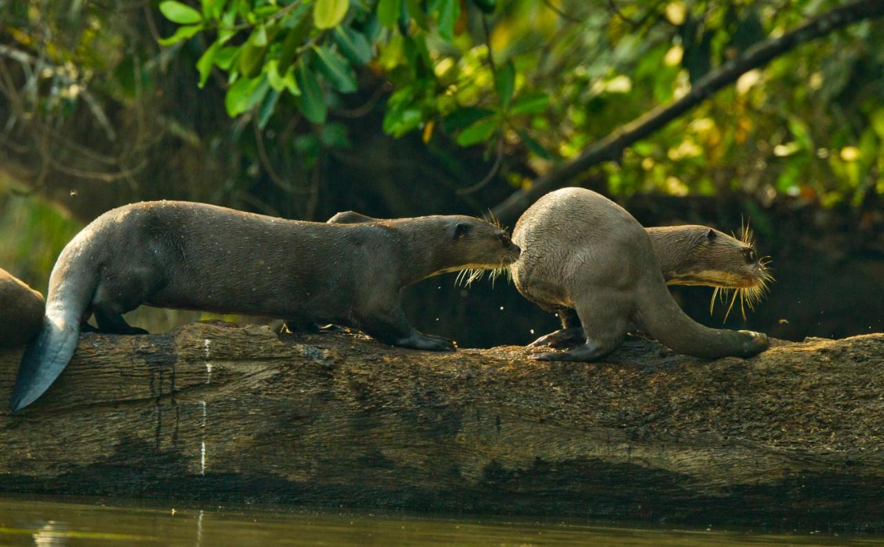 Wasai Tambopata Lodge Luaran gambar