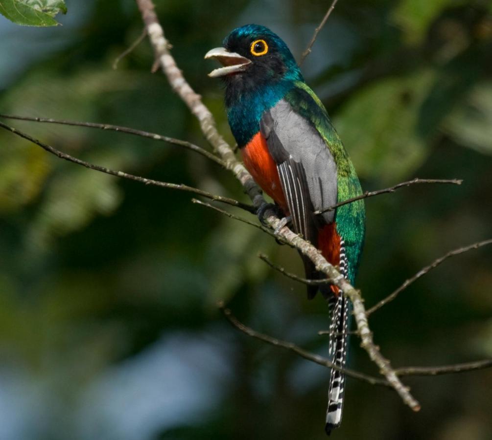 Wasai Tambopata Lodge Luaran gambar