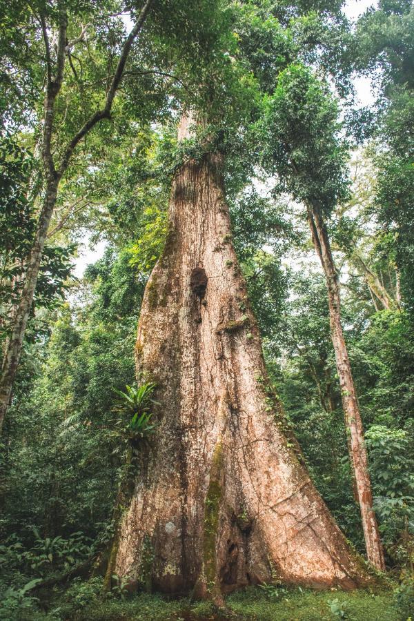 Wasai Tambopata Lodge Luaran gambar