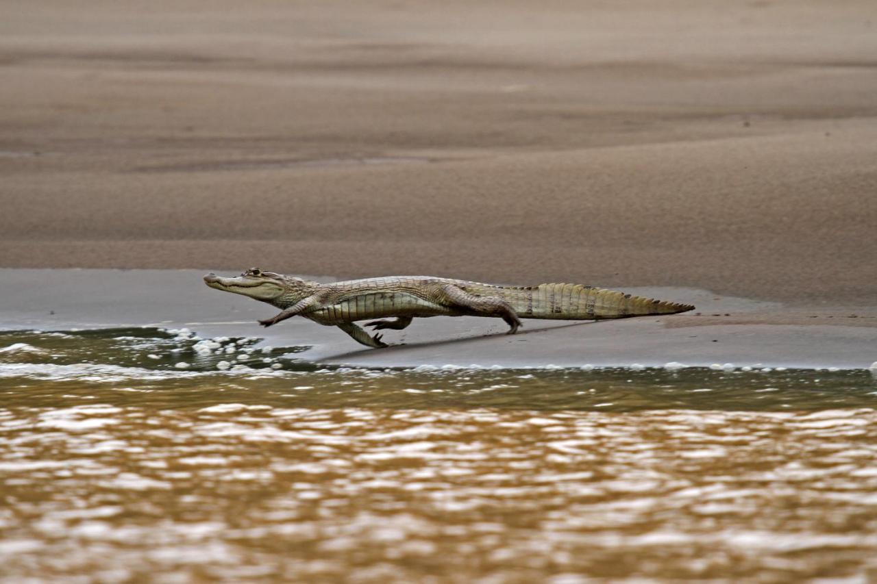 Wasai Tambopata Lodge Luaran gambar