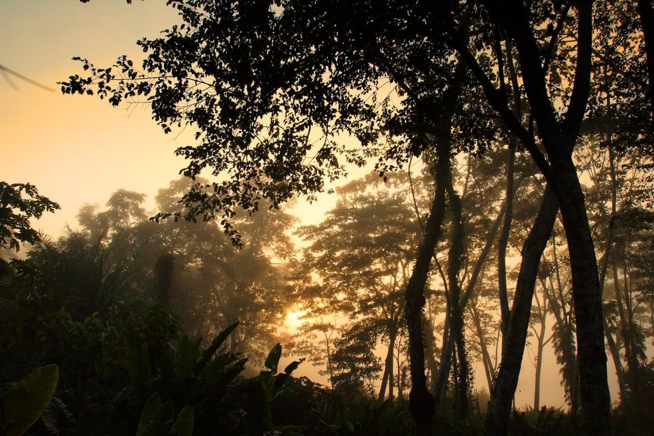 Wasai Tambopata Lodge Luaran gambar